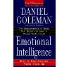 emotional intelligence